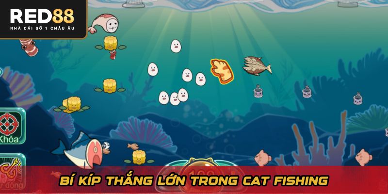 Bí kíp thắng lớn trong Cat Fishing
